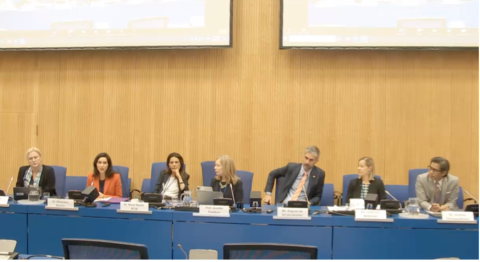 "SDG16: Accelerating Progress to Achieve Justice for Children" 
