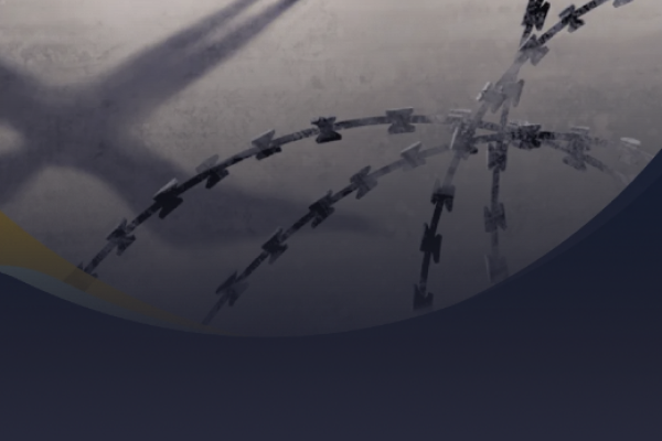Ending Solitary Confinement of Children: A Global Action Plan